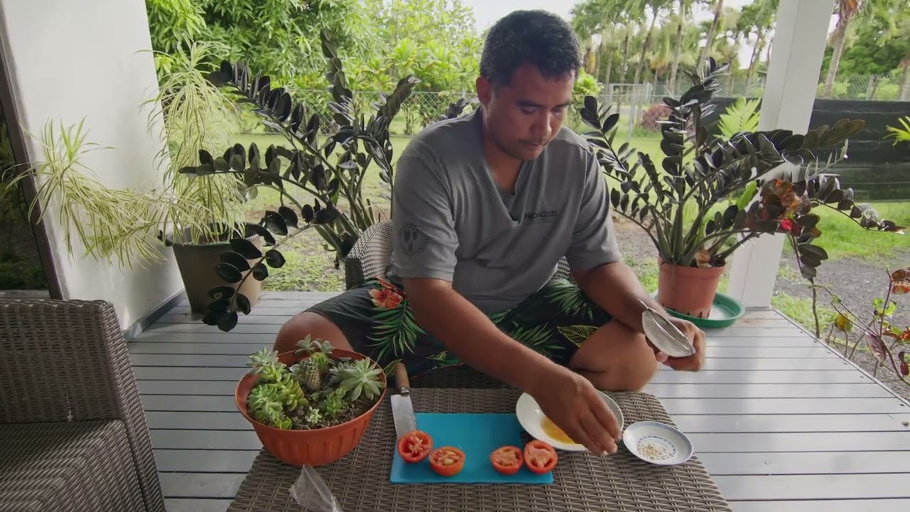 REO   Méthode de récupération et de plantation de graines de tomates