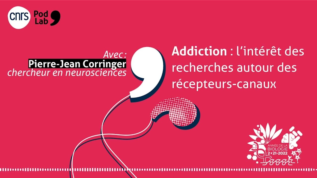 Addiction : l'int&eacute;r&ecirc;t des recherches autour des r&eacute;cepteurs-canaux