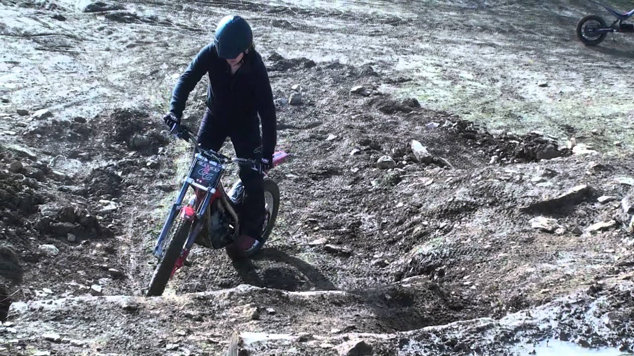 Zona 1 Trial Ground - Log Steps
