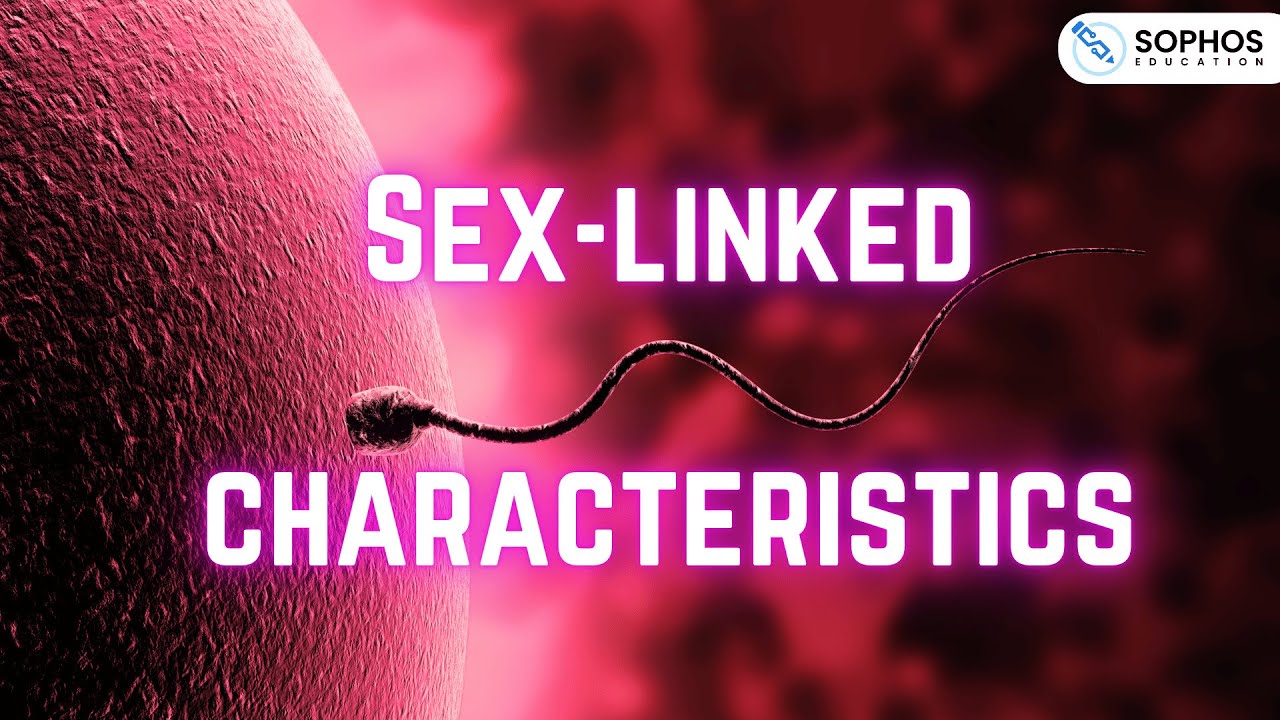 Edexcel only: Higher Sex-linked Characteristics