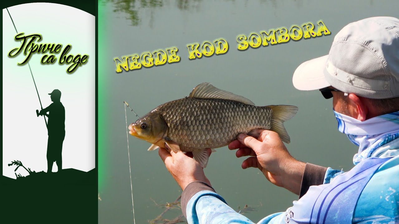 Priče sa vode ep. 240 07.05.2024. Na somborskom terenu