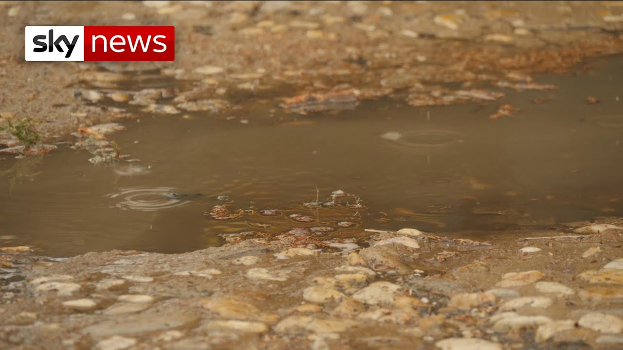 Rain brings relief to scorched parts of Australia