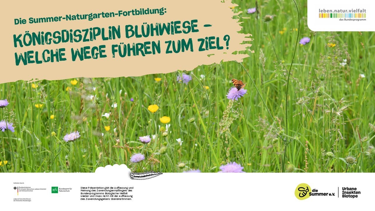 Königsdisziplin Blühwiese - welche Wege führen zum Ziel?