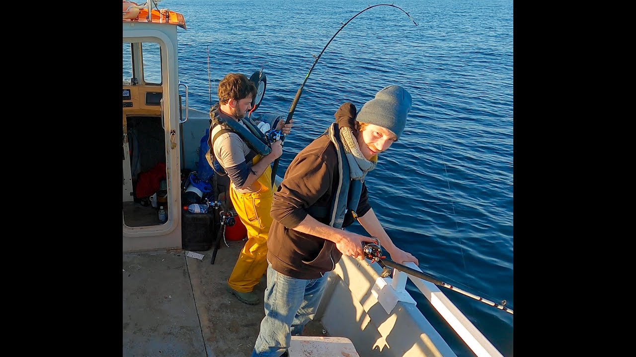FH20 Forager - 2022 E1 - Winter Wreck Fishing aboard FH20 Forager