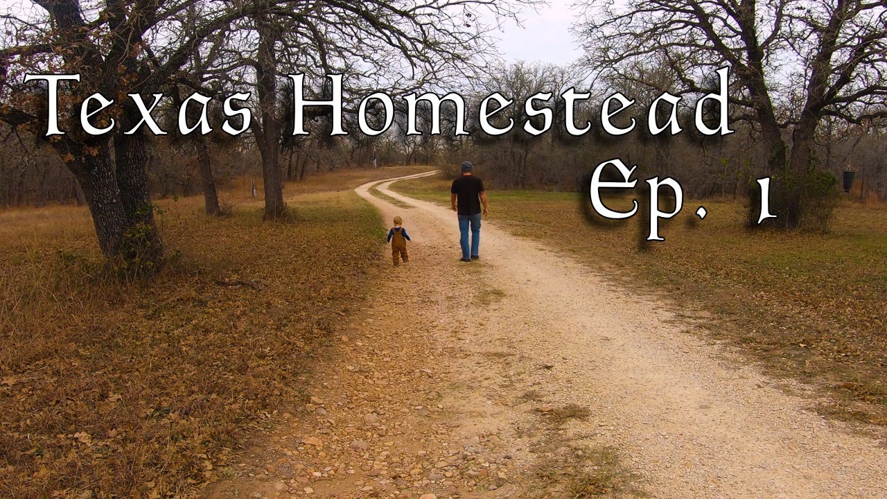 Building a Chicken Coop on Our Texas Homestead | Chores & Father-Son Time