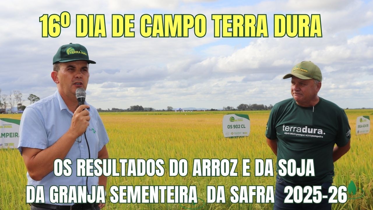 Práticas que rendem: Terra Dura abre sua porteiras para mostrar resultados