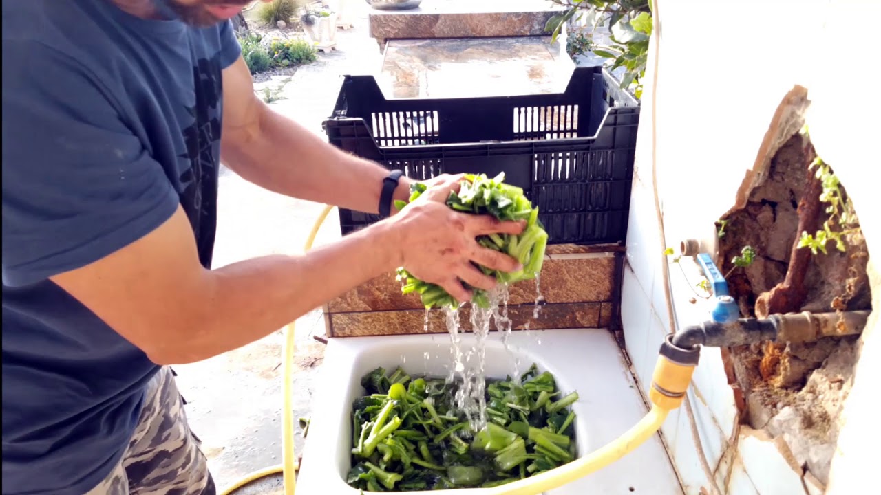 Como hacer conservas de Verduras. (Borraja)