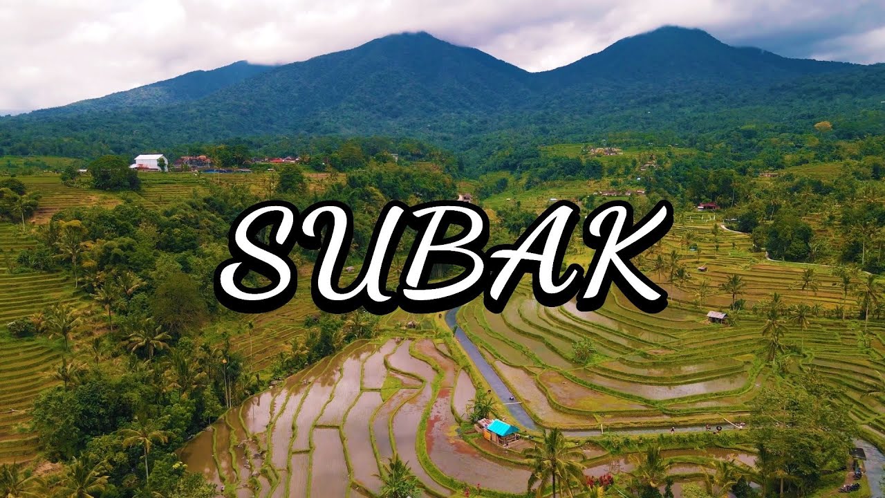 SUBAK | Warisan Dunia dari Bali