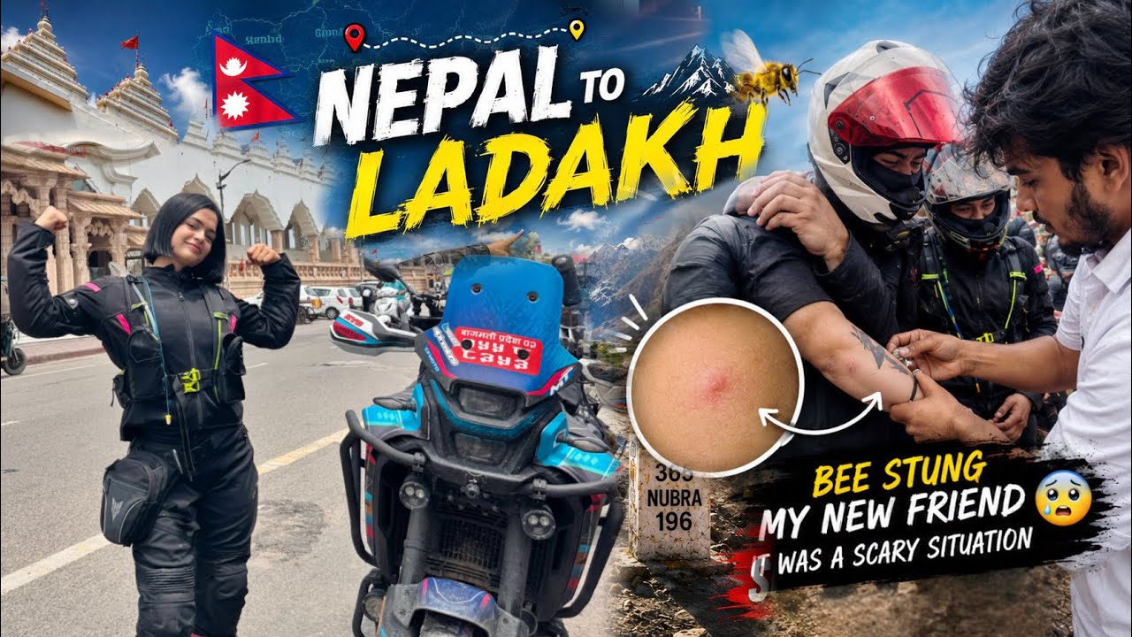 A  BAD DAY 🐝 😨| NEPAL TO LADAKH 🏍️ .. ep 4