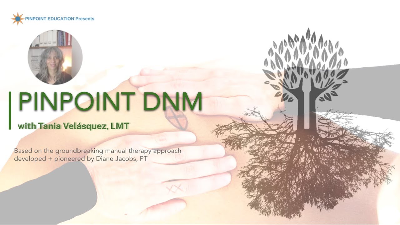 Pinpoint DNM  (DermoNeuroModulation) Introduction