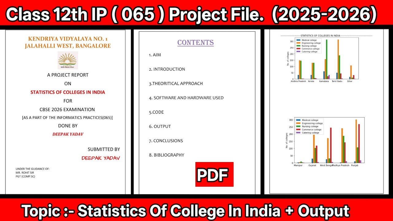 Class 12 IP (065) Project File 2025-26 | Statistics of Colleges in India | PDF & Output 