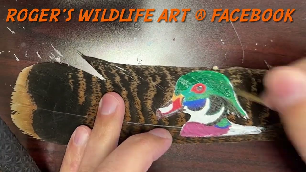 Wood Duck Painting on a Turkey Feather | Watercolor & Acrylic Timelapse