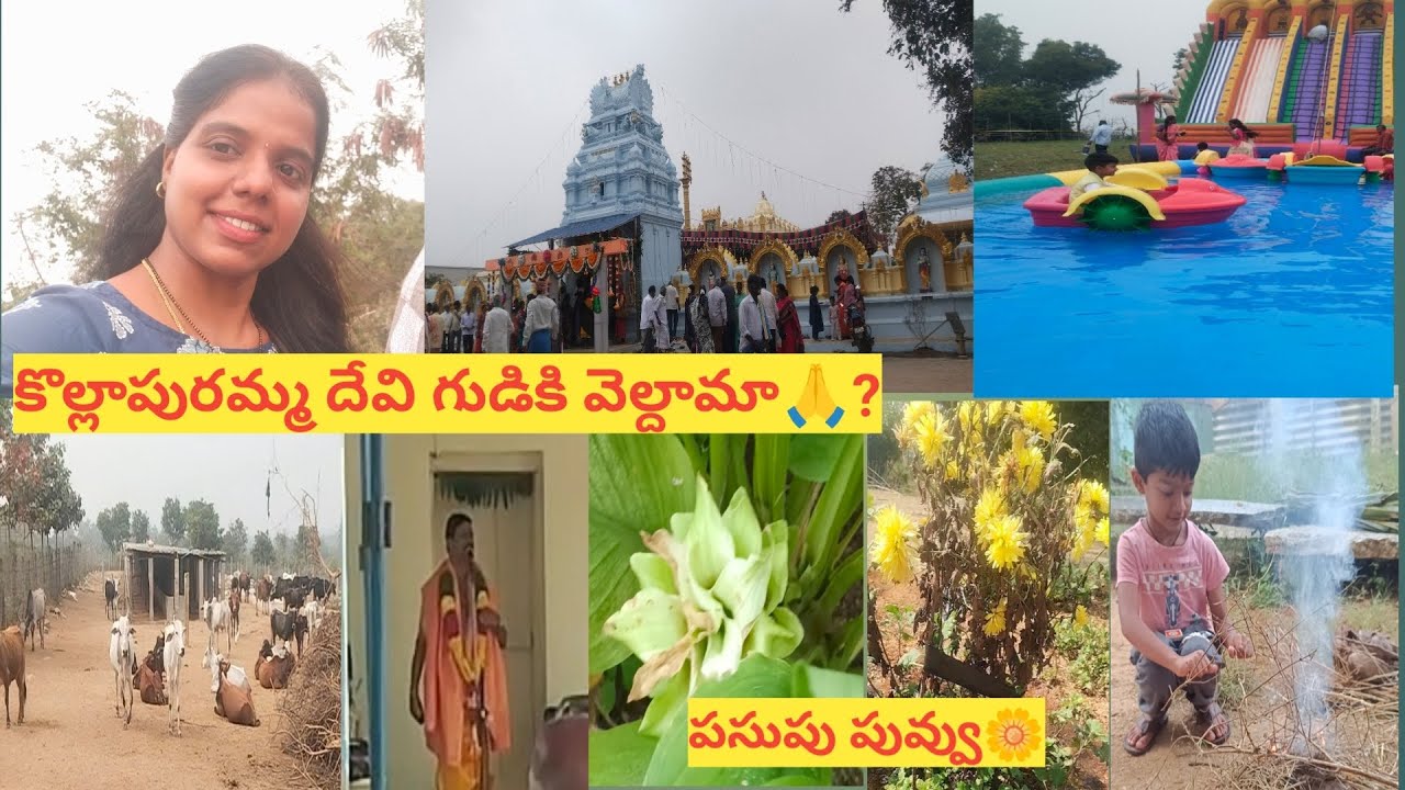  కొల్లాపురమ్మ దేవి గుడికి వెల్దామా🙏? | మా పెరటిలో పూసిన పసుపు పువ్వు🌼 | garden 