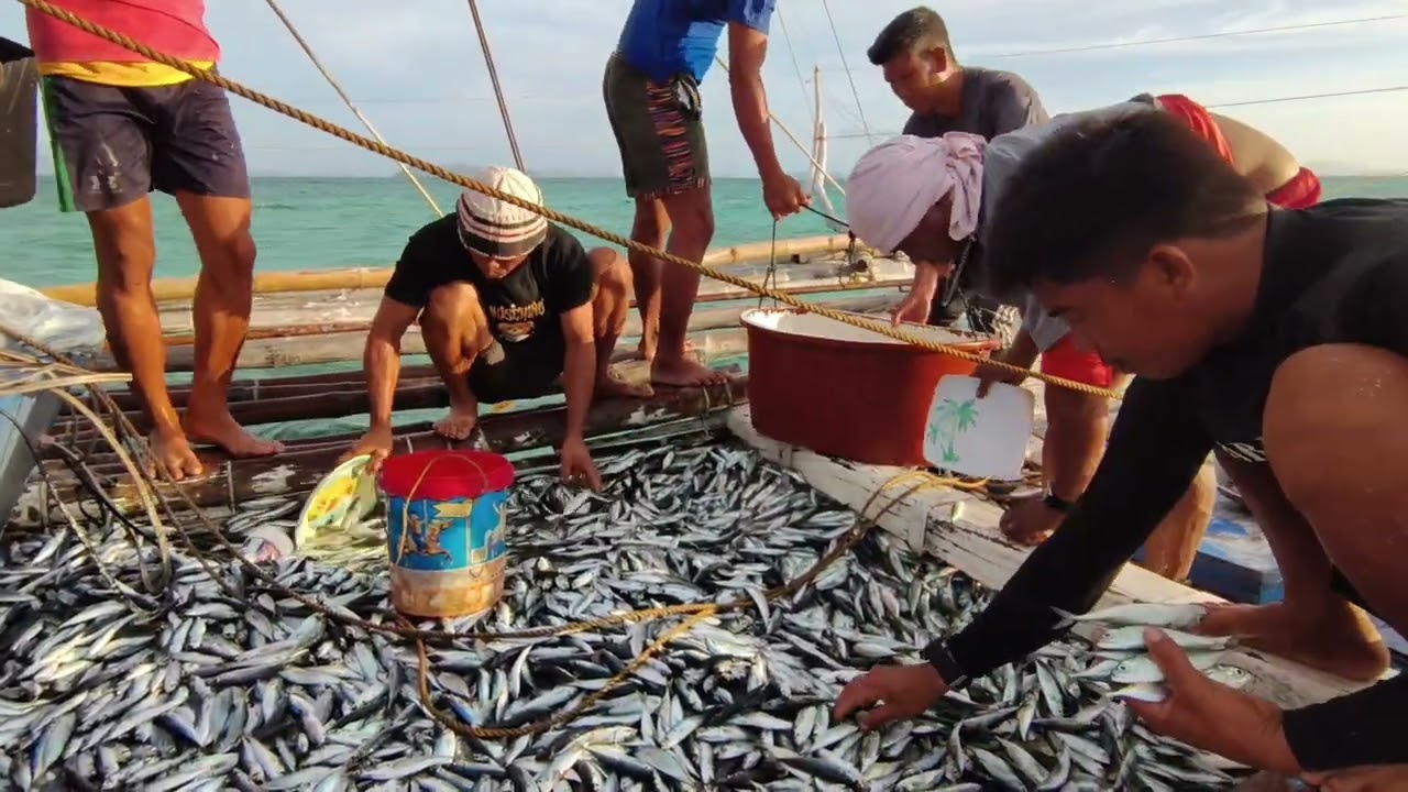 Pahulihan na naman ng isdang ito 
