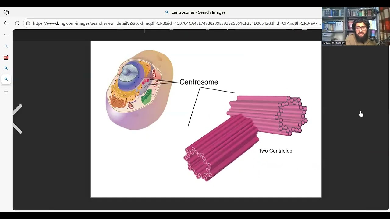 Cell : The unit of life lec no. 10 ...NCERT Biology Line by Line for NEET Concept Mastery!