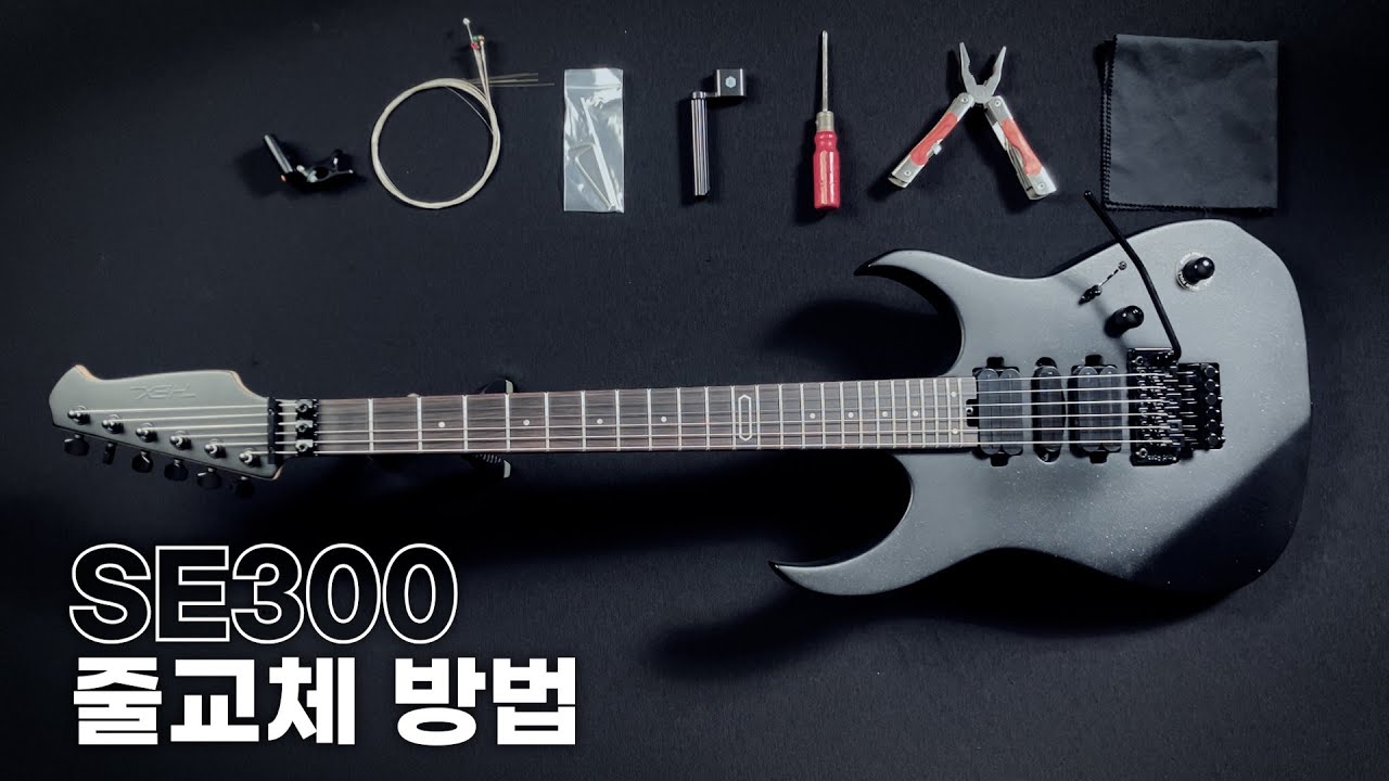 HEX SE300 플로이드 로즈 줄 교체 방법