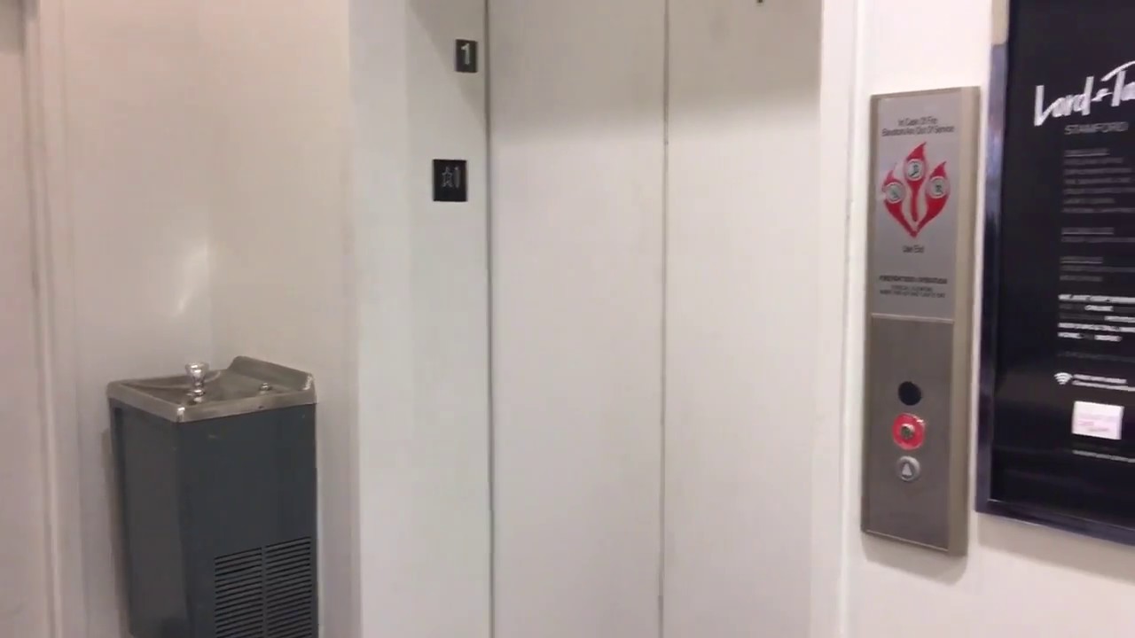 Brand New KONE Hydraulic Elevator at Lord & Taylor in Stamford, CT