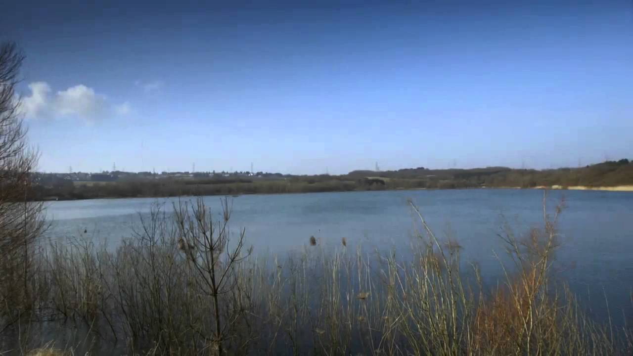 Landschaftslabor Vogelzug & wilde Weiden