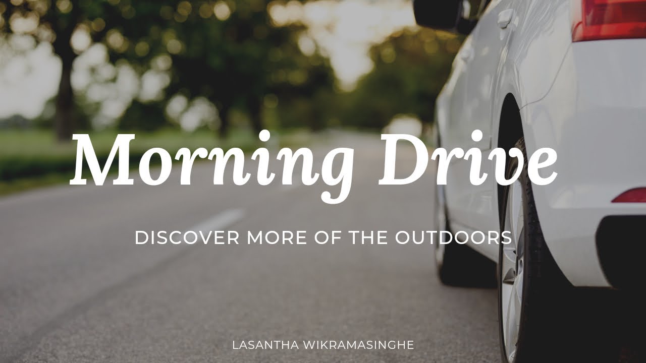 Morning Drive