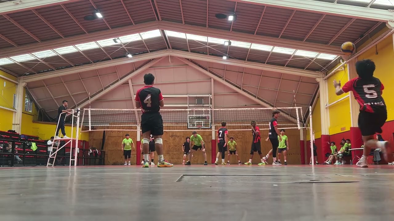 Segundo set bizcodan