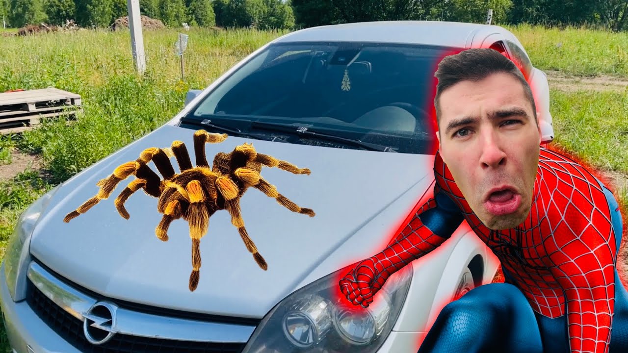 Big SPIDER in Mr. Jack Sports Car VS Frightened Mr. Jack 13+