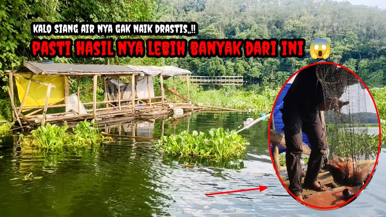 Sambaran malam ikan di spot ini bener bener mewah || Mancing Cirata Terbaru
