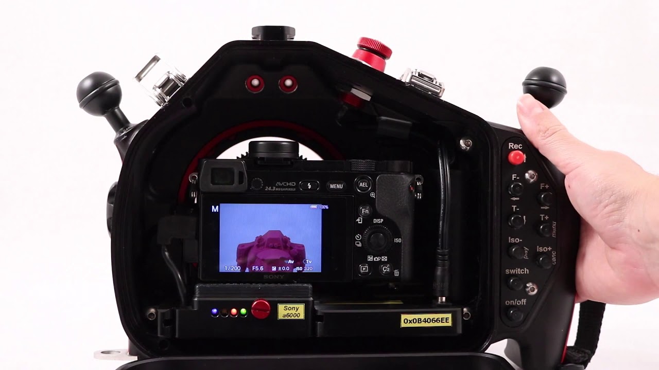 Leo3 Wi Sony Settings