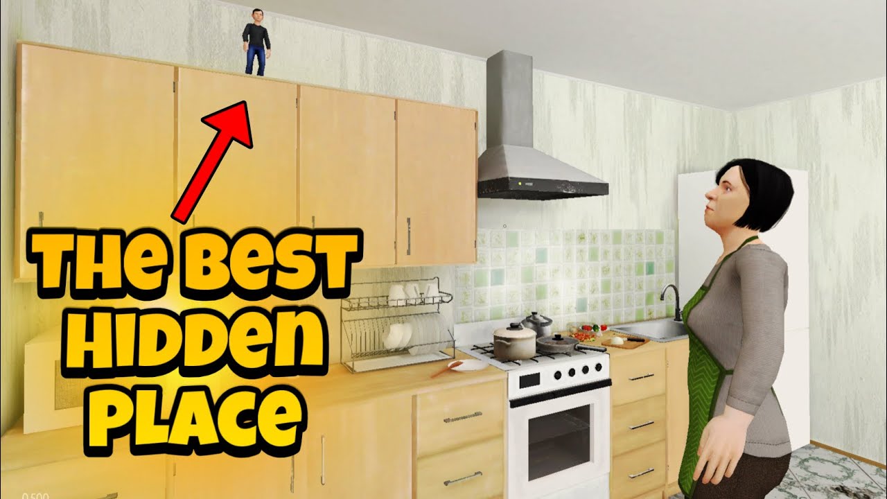 The Best Hiding Place In Schoolboy Runaway Stealth (PART 3)