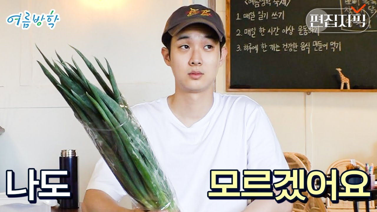 누나가 시킨 심부름 못하는 막둥이 재질 최우식 | #여름방학 #편집자픽