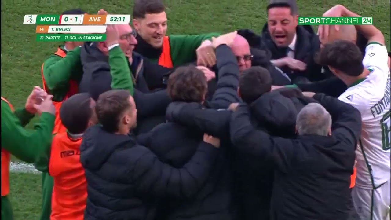 Monza-Avellino, la sintesi