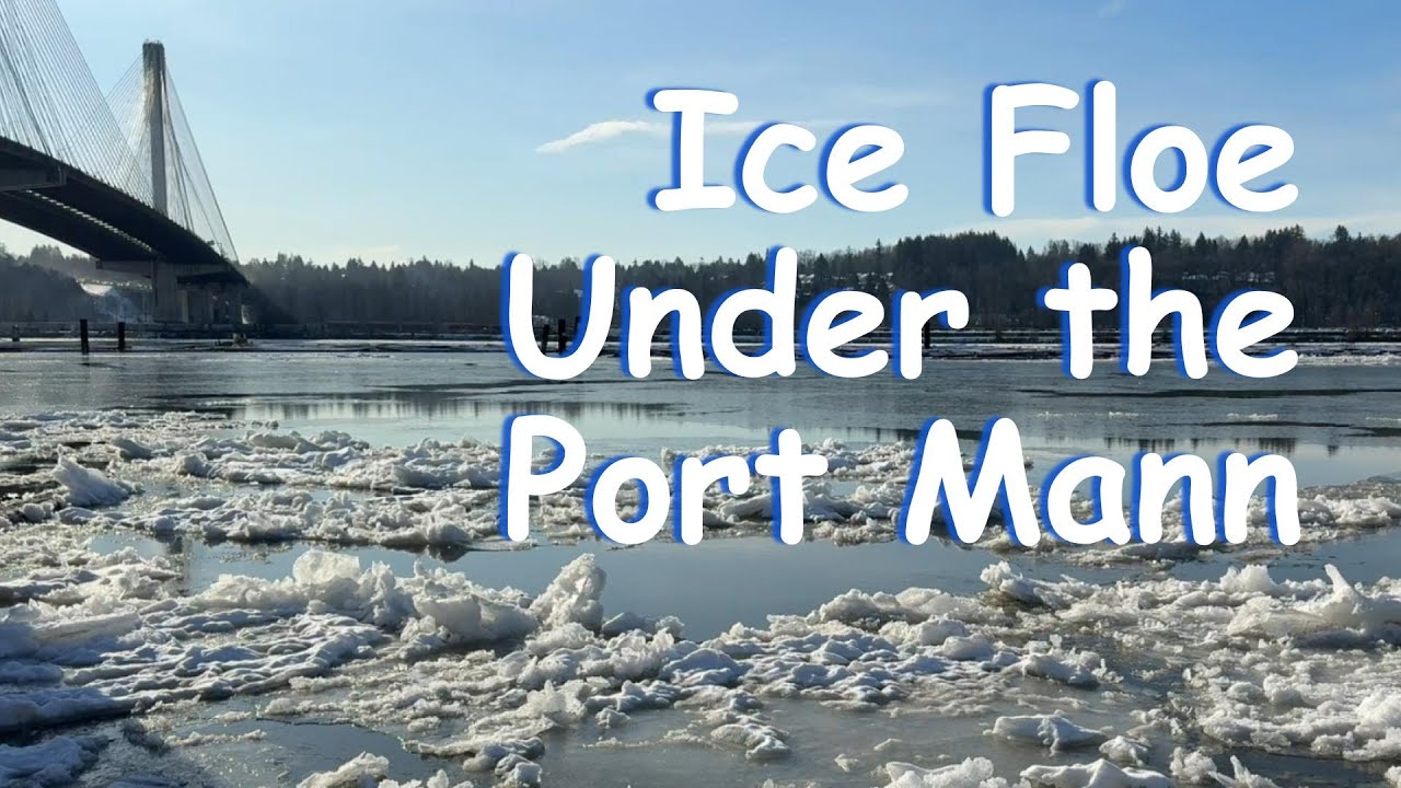 Ice Floes Under the Port Mann Bridge  🌊❄️ 🌉