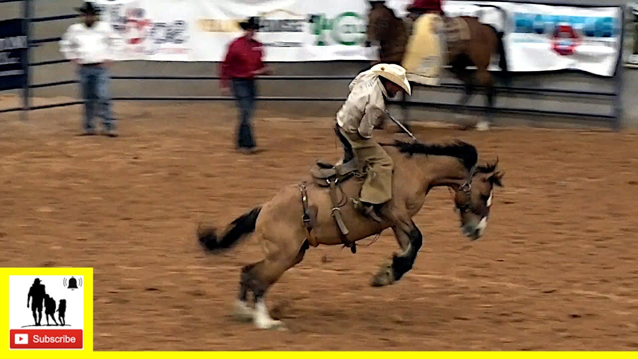 Bronc Riding 🐴 2022 Coors Cowboy Club Ranch Rodeo | Saturday