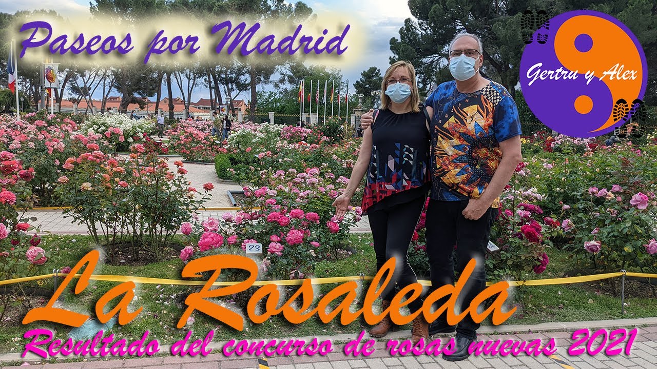 La Rosaleda 2021 🌸🌺🌷🌹 Resultado del concurso de rosas nuevas 😎😎🥉🥉🥉