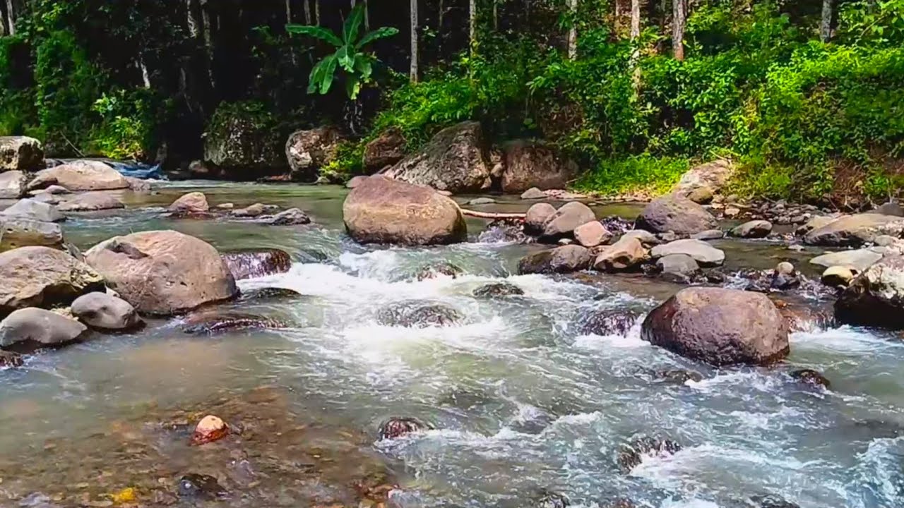 Echoing Roar of River Water Crashing Against Cliffside Rocks to Cleanse Emotions and Ground the Mind