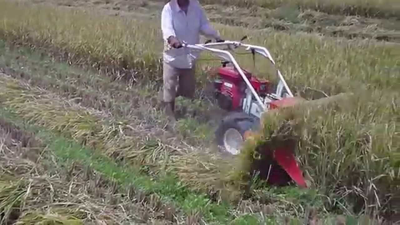 PADDY REAPER YAP 120   YANMAR
