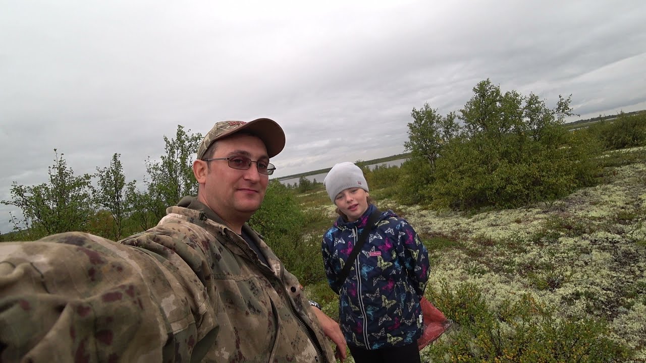 СТОЛЬКО ГРИБОВ Я ЕЩЕ НЕ ВИДЕЛ / БЕЛЫЙ ГРИБ И ПОДОСИНОВИК / СОБИРАЕМ ГРИБЫ В ТУНДРЕ