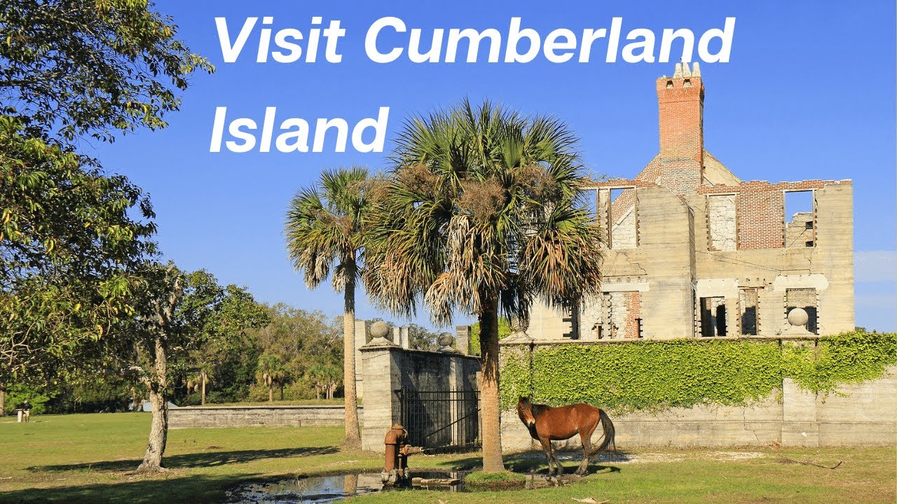 Day trip to Cumberland Island Georgia