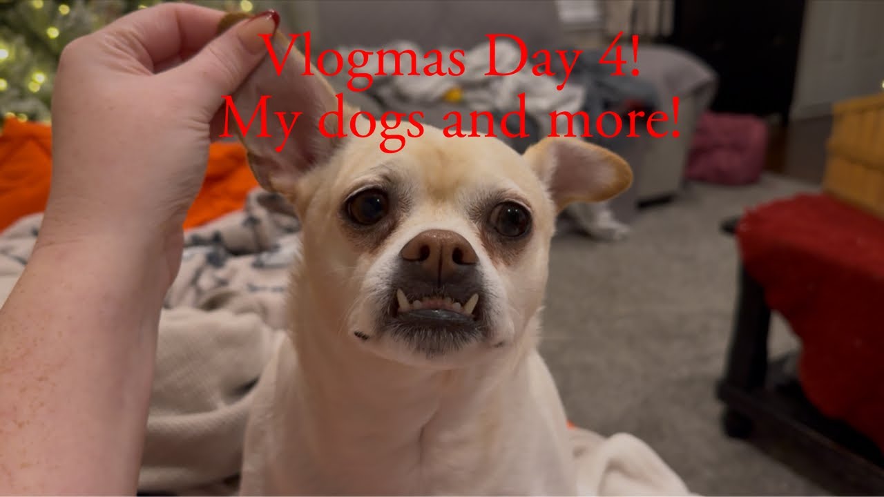 Vlogmas, день 4! Много разговоров, извините!