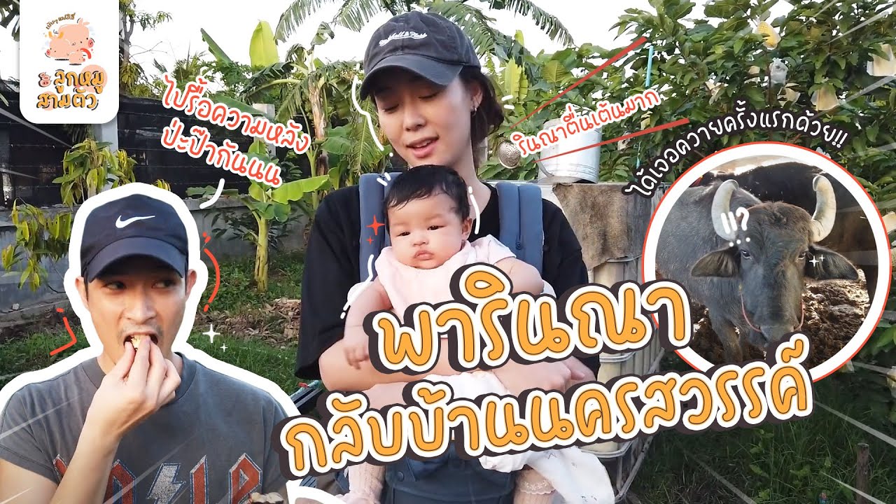 Паринна тайно посещает дом Папы Тамтама в Накхонсаване | Babe Family