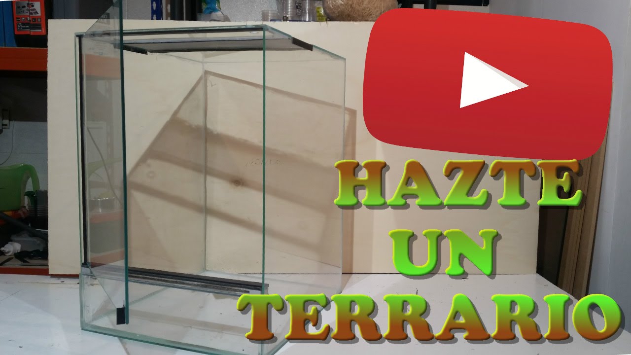 Hacer Terrario Paso A Paso