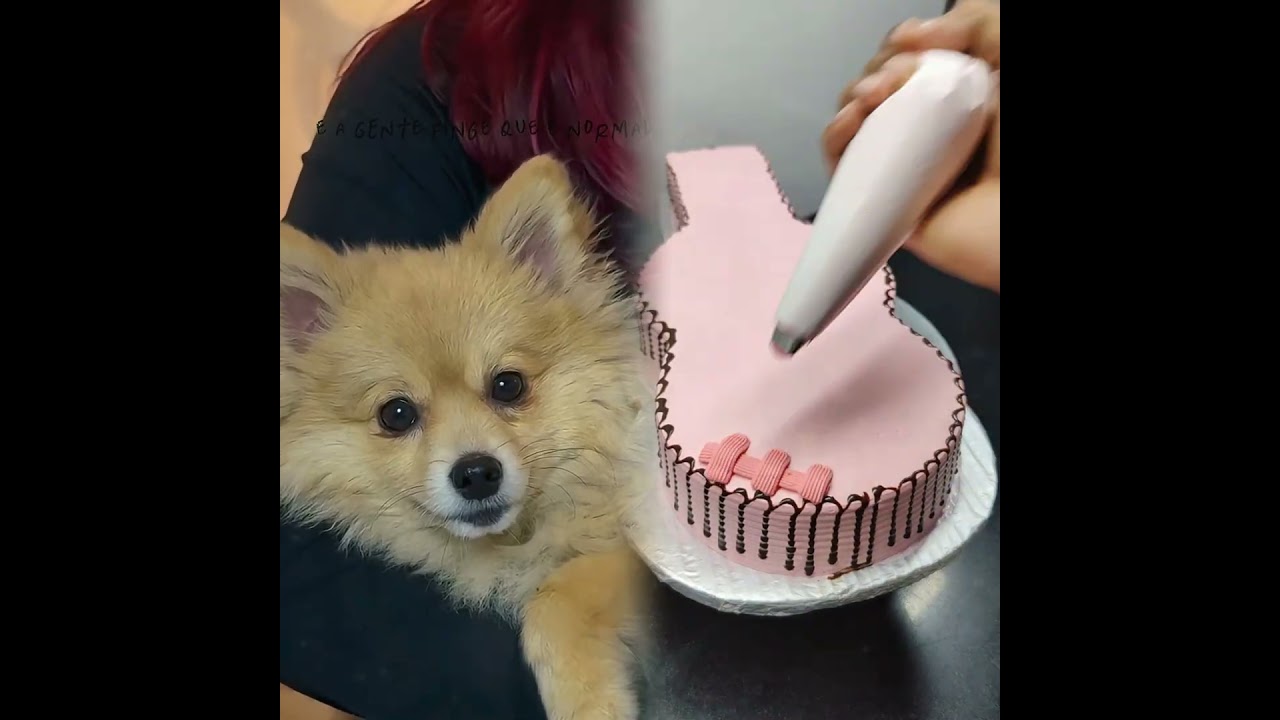 #orelha #cachorroorelha