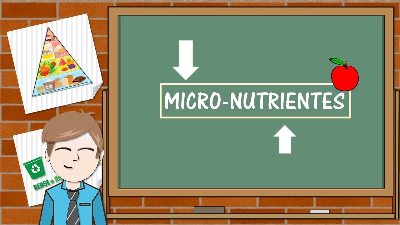 Micronutrientes - bien explicado - Vitaminas y Minerales
