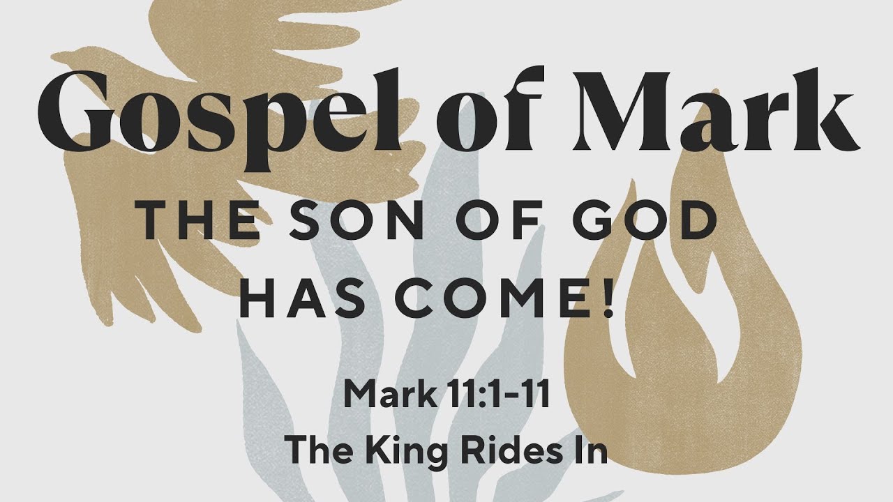 Sunday 4th January - Mark 11:1-11 The King rides in
