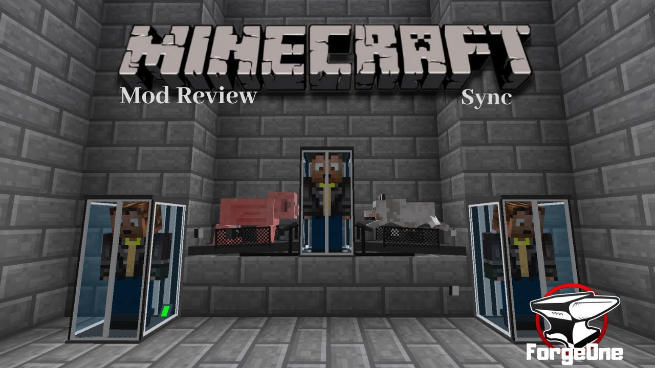 Sync - Minecraft Mod Review (1.12.2)