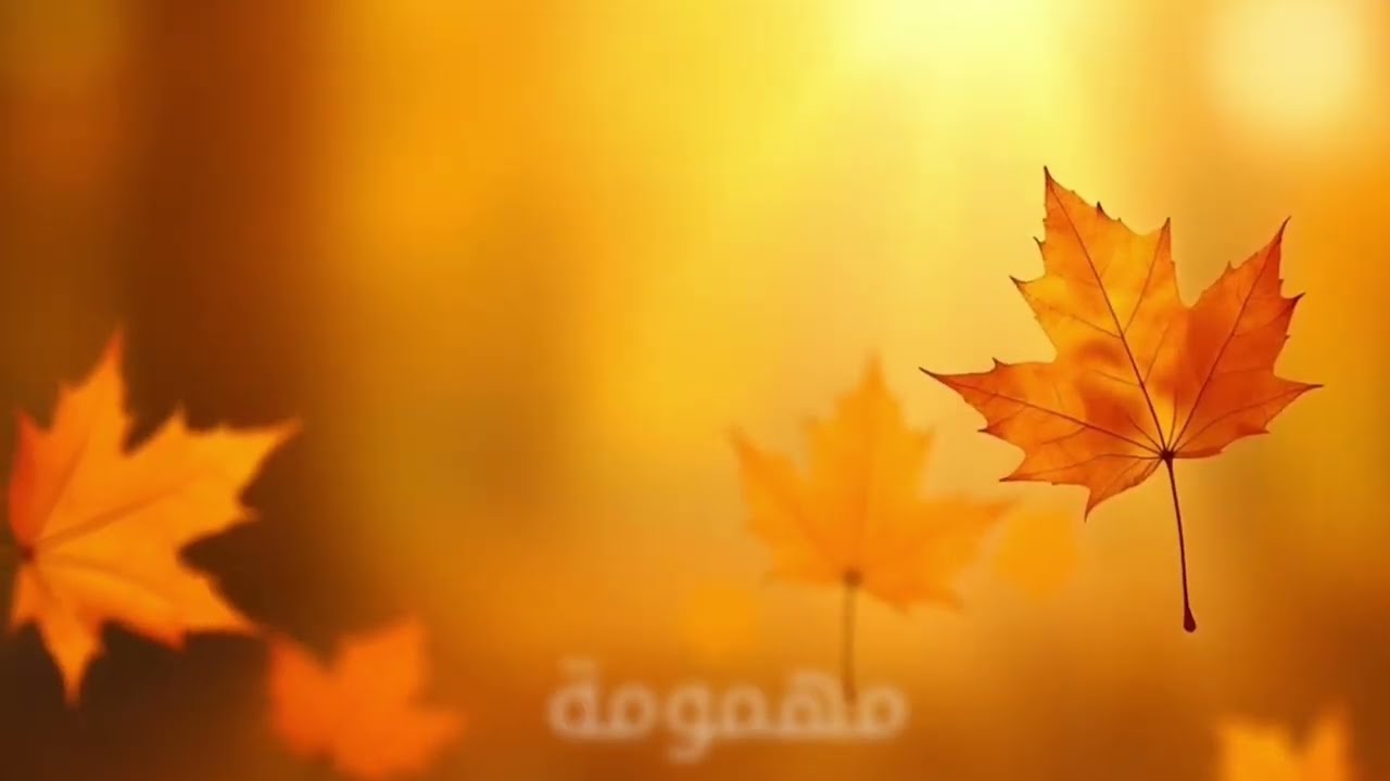 🎤  -- mahmouma | أقوى Trap Maroc 💥 Rap 2025