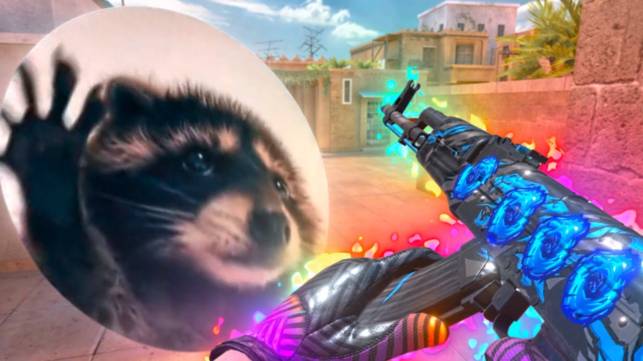 PEDRO PEDRO PEDRO!🦝(Мувик - STANDOFF 2)