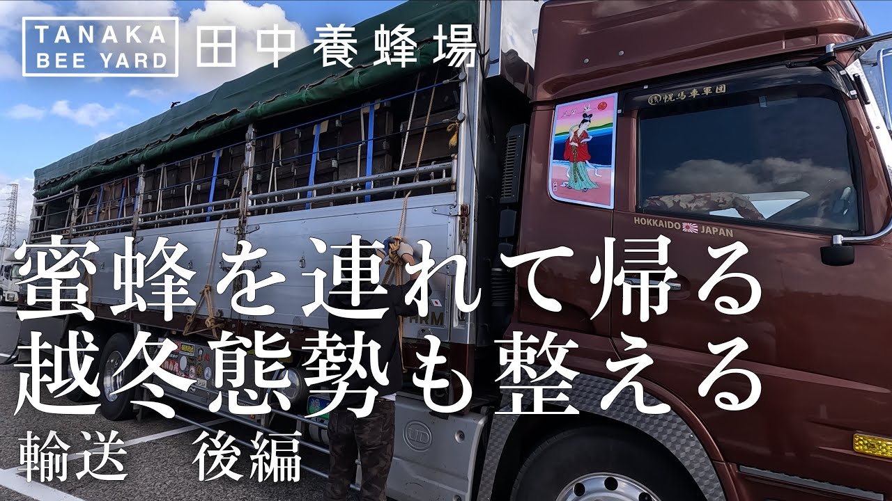 蜜蜂の帰還後編　越冬準備を急ぐ