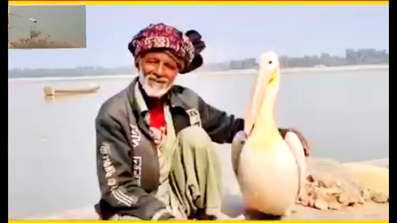 Majeed Mallah Ke Pas kotri Puhuncha Baban 