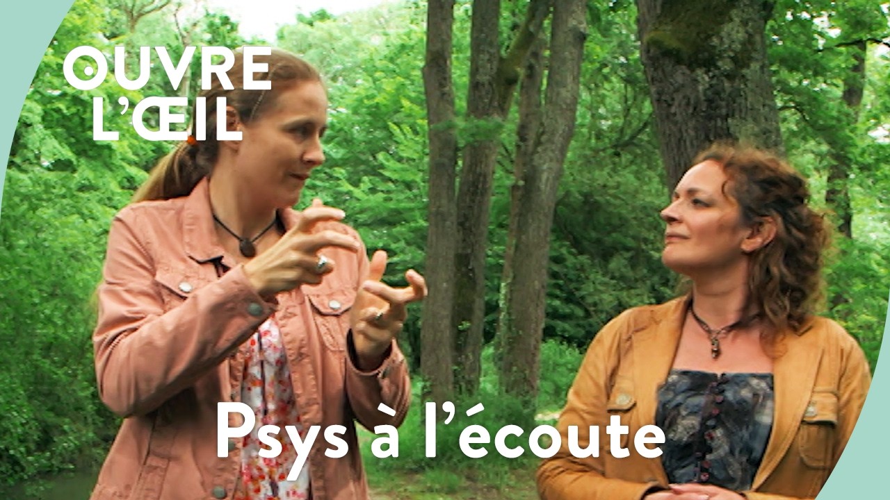 Psys à l'écoute I Ouvre l'oeil