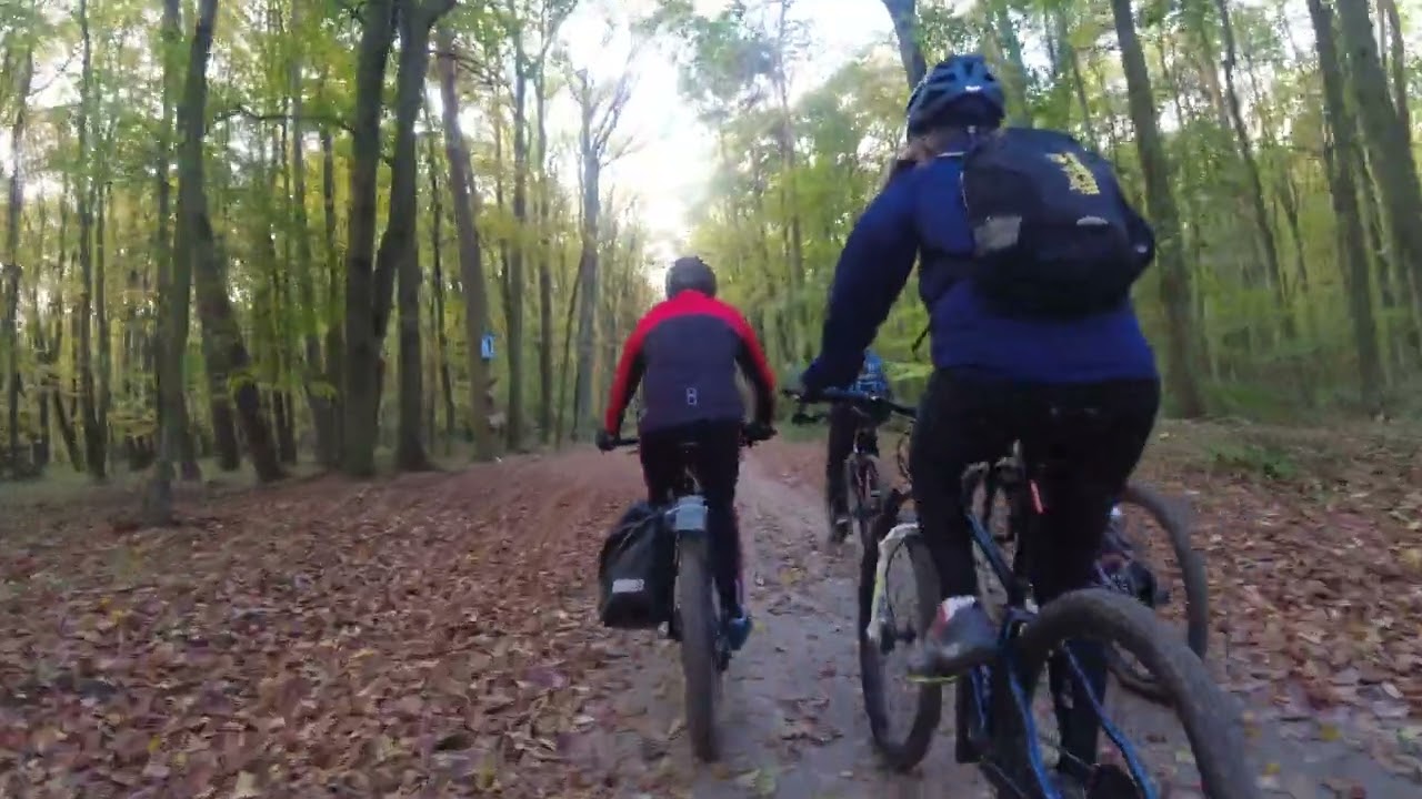 TRZEBAW 50km 25.10.2025